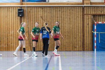 Bild 78 - wBJ HSG Kremperheide/Muensterdorf - HSG Joerl-Doppeleiche Vioel : Ergebnis: 34:23